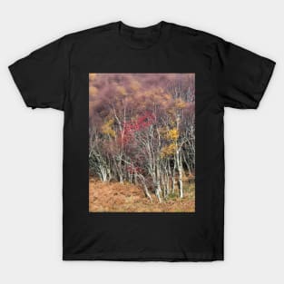 Highland Breeze T-Shirt